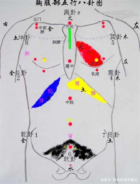 八卦對應身體|《周易》数理之——后天八卦对应人体部位与器官